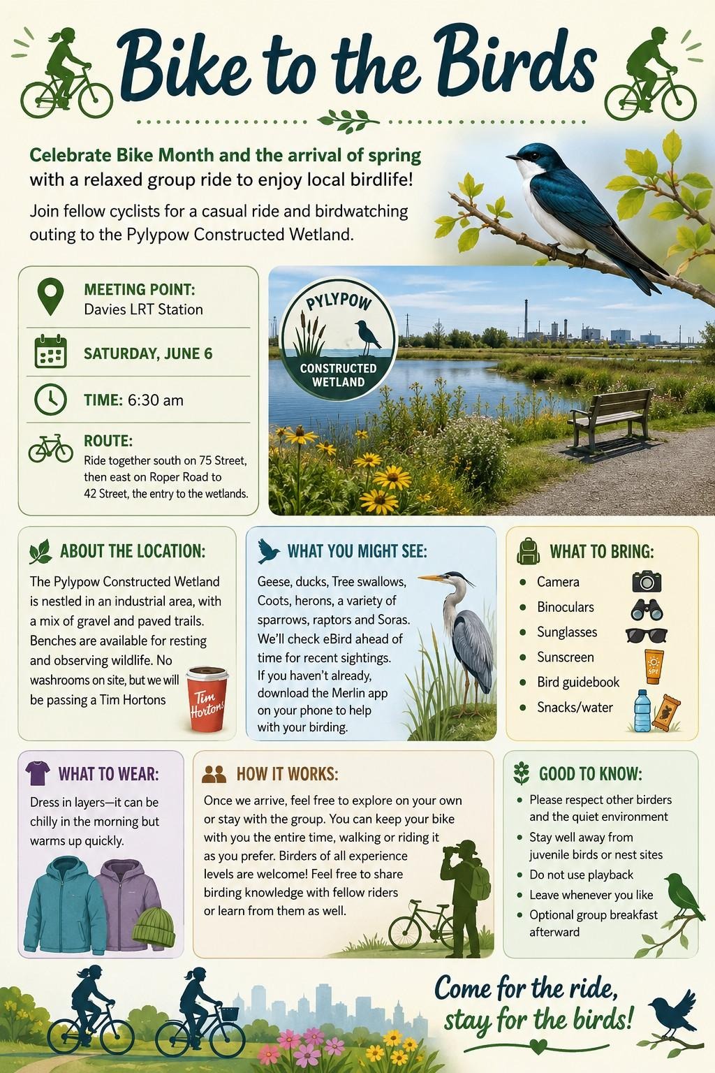 bike to the birds poster